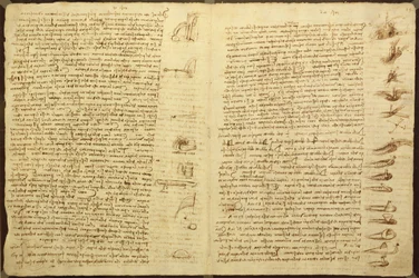 Eine Seite aus dem Codex Leicester, 1508-12